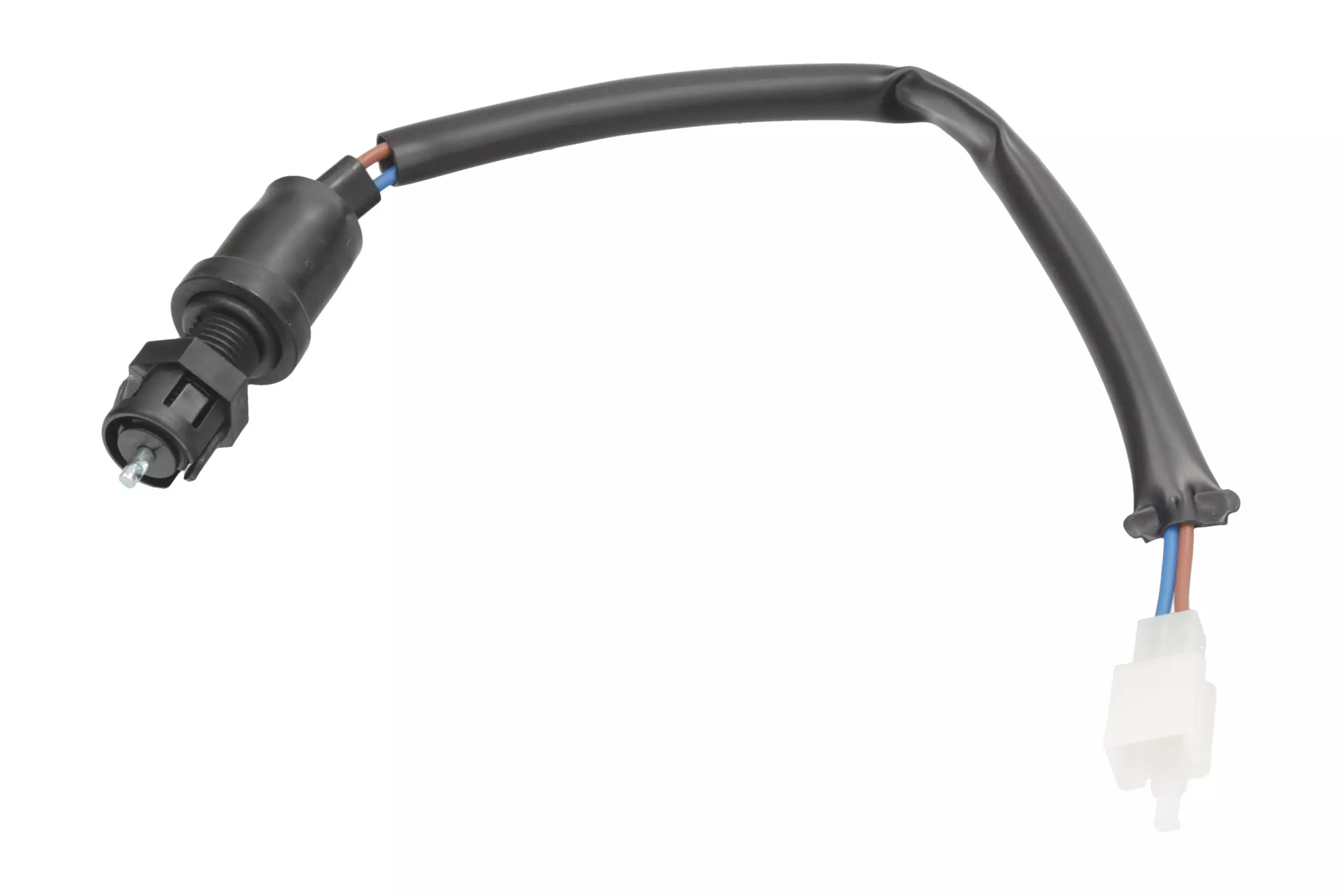 gmoto-1246097