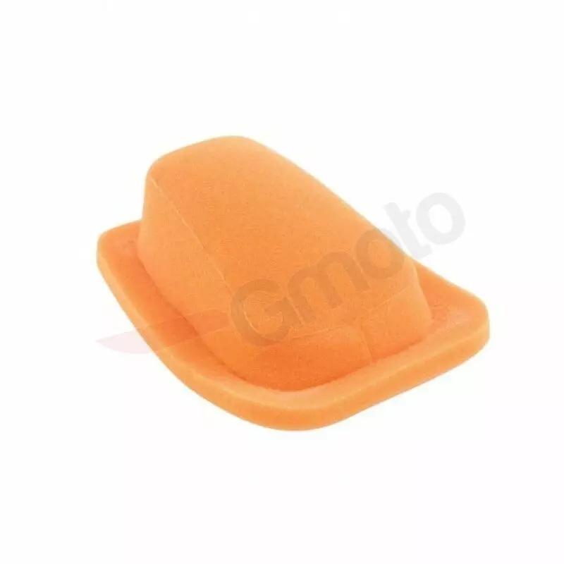 gmoto-1368904