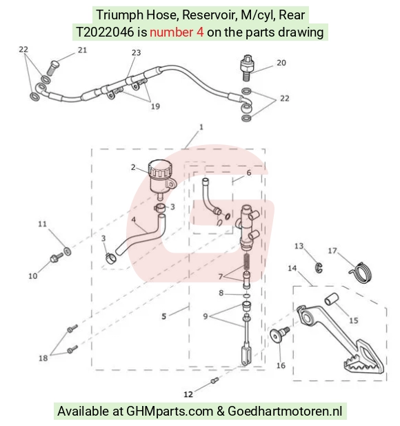 goedhartmotoren3-30829