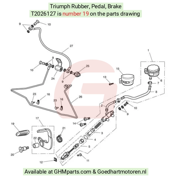 goedhartmotoren3-32337