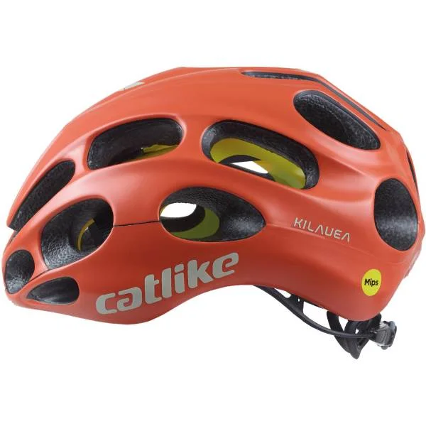 hollandbikeshop2-1287850