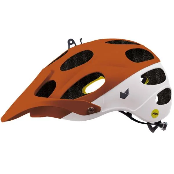 hollandbikeshop2-1288393