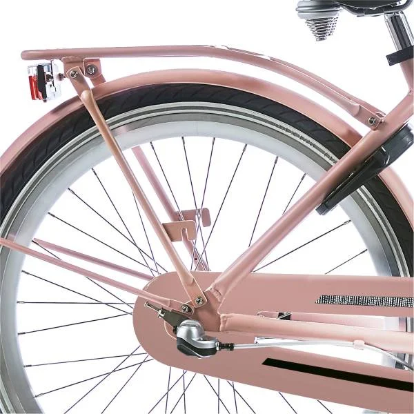 hollandbikeshop2-1306192