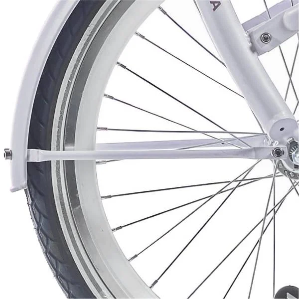 hollandbikeshop2-1333955