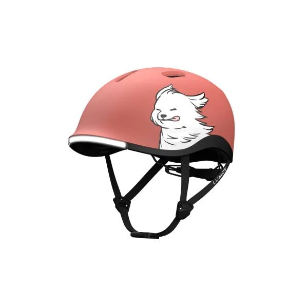 hollandbikeshop3-1412056