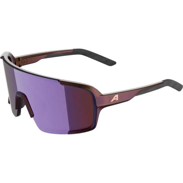 hollandbikeshop3-1482176