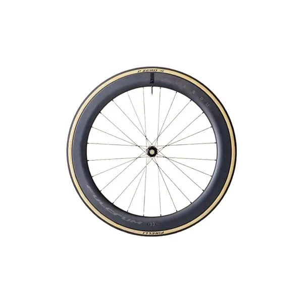 hollandbikeshop3-26913