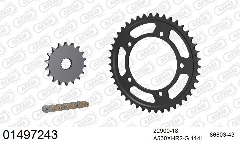 tenkateshop1-944569